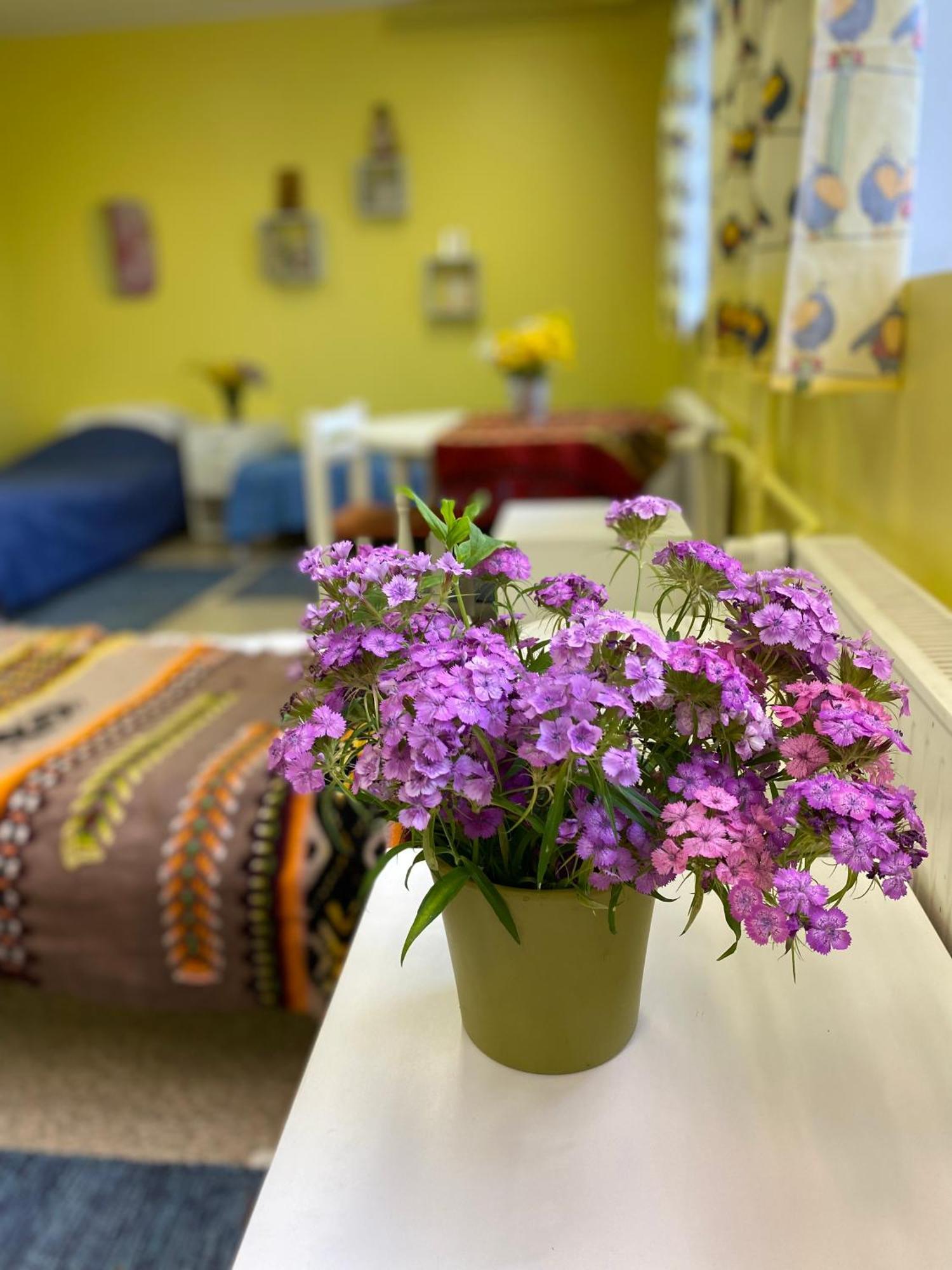 Torgu Royal Guesthouse Iide エクステリア 写真